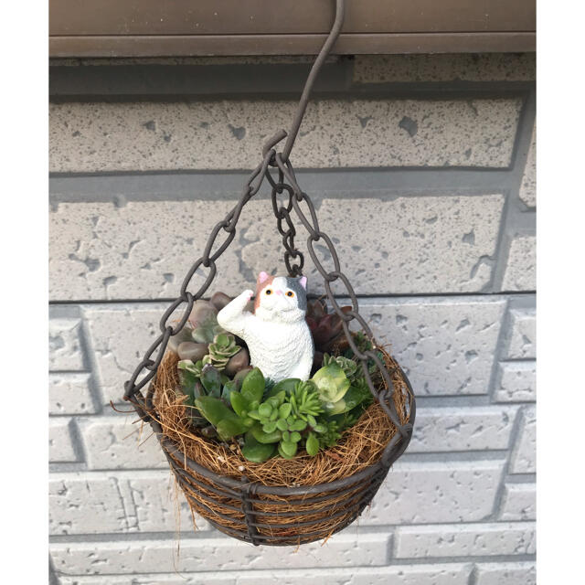 そのまま飾れる多肉植物の寄せ植えと猫ちゃん ハンドメイドのフラワー/ガーデン(その他)の商品写真