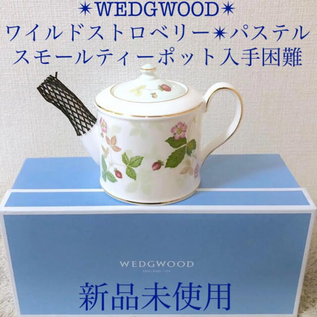 WEDGWOOD - WEDGWOOD 新品ワイルドストロベリーパステルグリーン