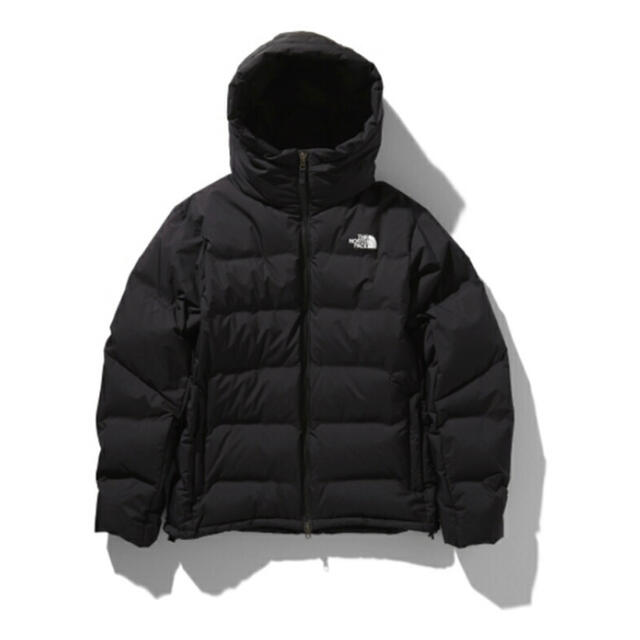 THE NORTH FACE - THE north face BELAYER PARKA Lサイズ