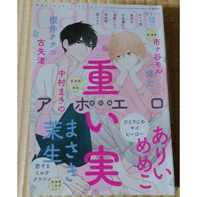 gateau(ガトー)12月号　ひとりじめマイヒーロー　ありいめめこ他 エンタメ/ホビーの漫画(ボーイズラブ(BL))の商品写真