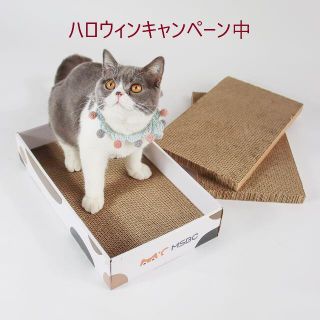 ハロウィンキャンペーン♡猫爪とぎ ボックス型(猫)