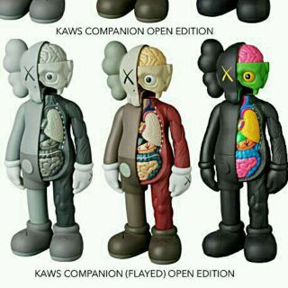 メディコムトイ(MEDICOM TOY)のKAWS COMPANION 専用ページ(その他)