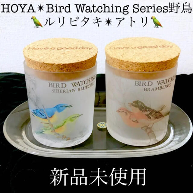 HOYA 新品ホヤバードウォッチングキャニスタークリスタルガラス HOYA 新品ホヤバードウォッチングキャニスタークリスタルガラス