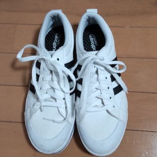 アディダス(adidas)のadidas　スニーカー　25.0  白(スニーカー)