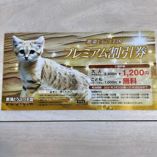 那須どうぶつ王国　割引券チケット１枚(動物園)