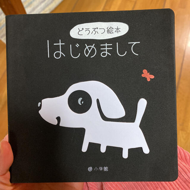 小学館(ショウガクカン)のはじめまして どうぶつ絵本 エンタメ/ホビーの本(絵本/児童書)の商品写真