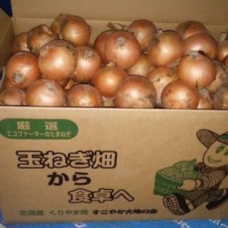 sunsun様 専用  北海道産玉ねぎ Mサイズ 40kg(野菜)