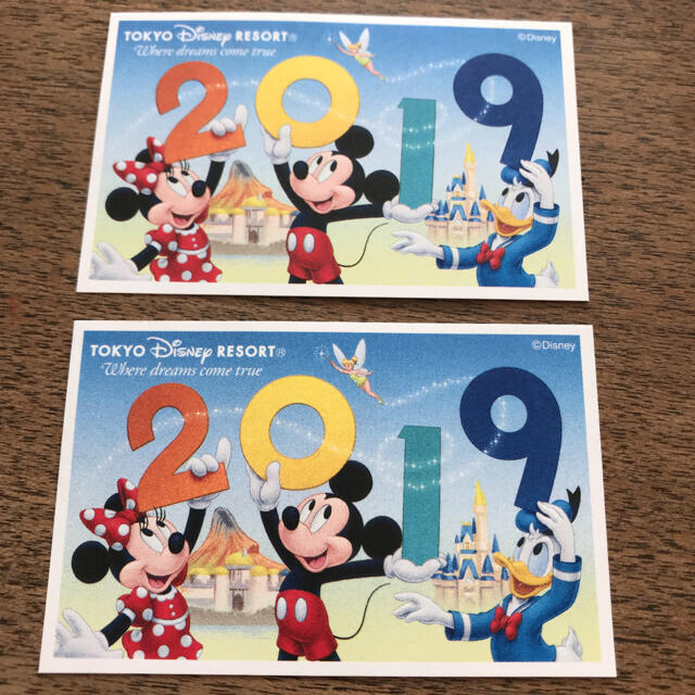 Disney(ディズニー)のディズニー　パスポート　2枚 チケットのチケット その他(その他)の商品写真