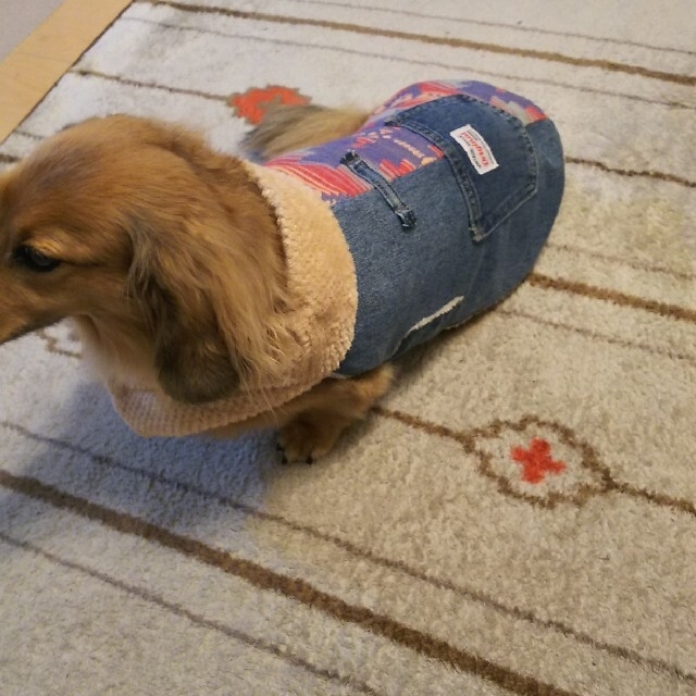 ペット服/アクセサリー デニムリメイク犬服③オーダー受付ページ