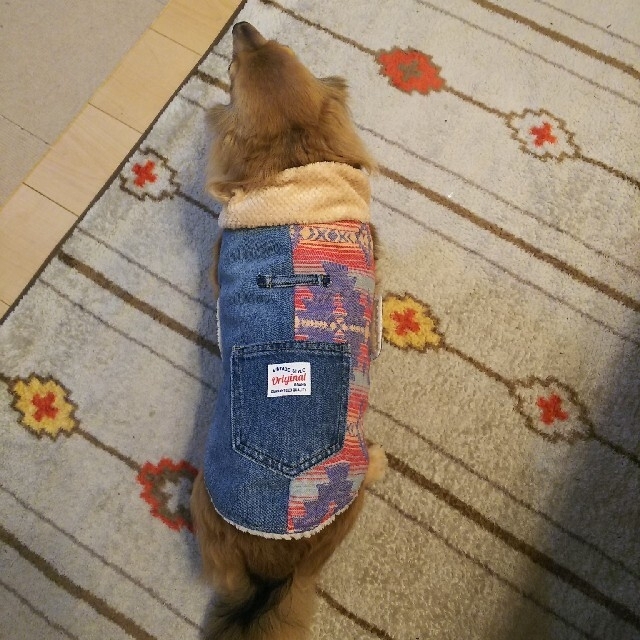 ペット服/アクセサリー デニムリメイク犬服③オーダー受付ページ