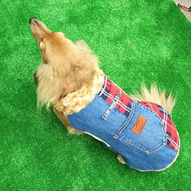 デニムリメイク犬服②オーダー受付ページ ハンドメイドのペット(ペット服/アクセサリー)の商品写真