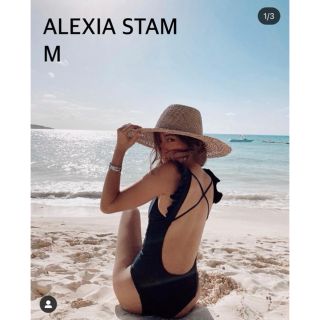 アリシアスタン(ALEXIA STAM)のお値下げ【新品タグ付き】ALEXIASTAM ブラックワンピース水着 Mサイズ(水着)