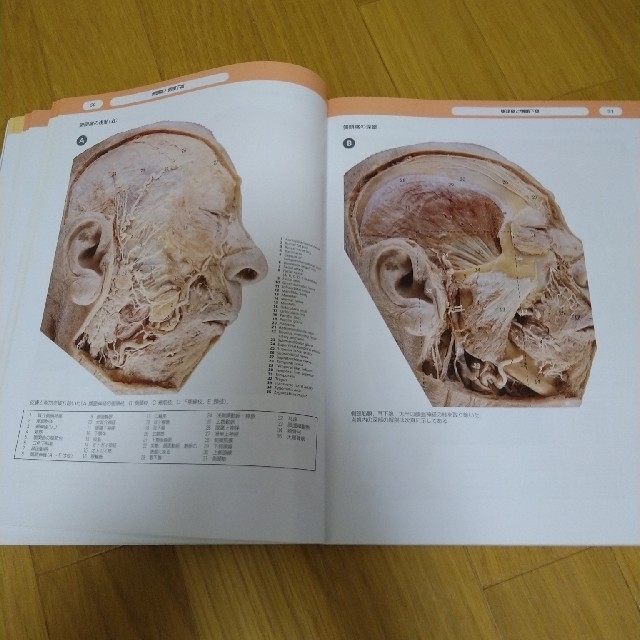 人体解剖カラーアトラス(原書第5版)南江堂 著者:P.H.Abrahamsの通販 by