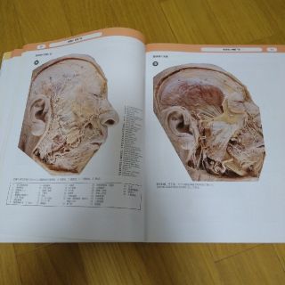 人体解剖カラーアトラス(原書第5版)南江堂 著者:P.H.Abrahams