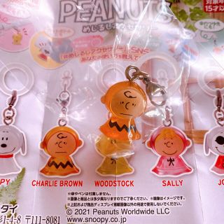 スヌーピー(SNOOPY)のPEANUTS めじるしアクセサリー　チャーリーブラウン(キャラクターグッズ)