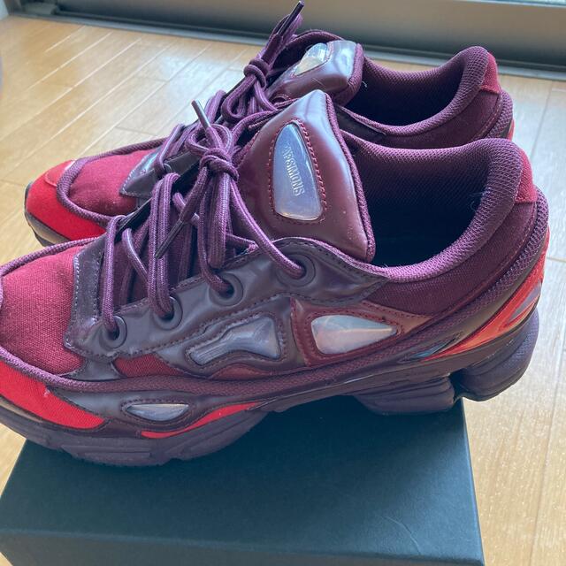 RAF SIMONS ozweego3