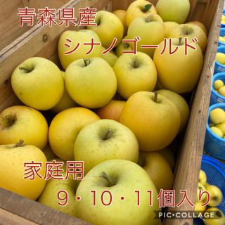 青森県産りんご（シナノゴールド）9.10.11個入り　家庭用　訳あり　産地直送(フルーツ)