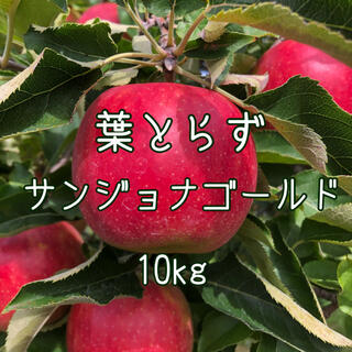 青森りんご 葉とらず サン ジョナゴールド10kg(フルーツ)