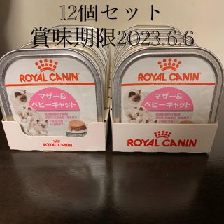 ロイヤルカナン(ROYAL CANIN)のロイヤルカナン　マザー&ベビーキャット　12個(ペットフード)