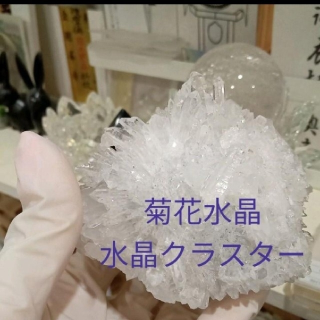 菊花水晶☆ダブルポイント、虹複数混在☆*。 www.krzysztofbialy.com