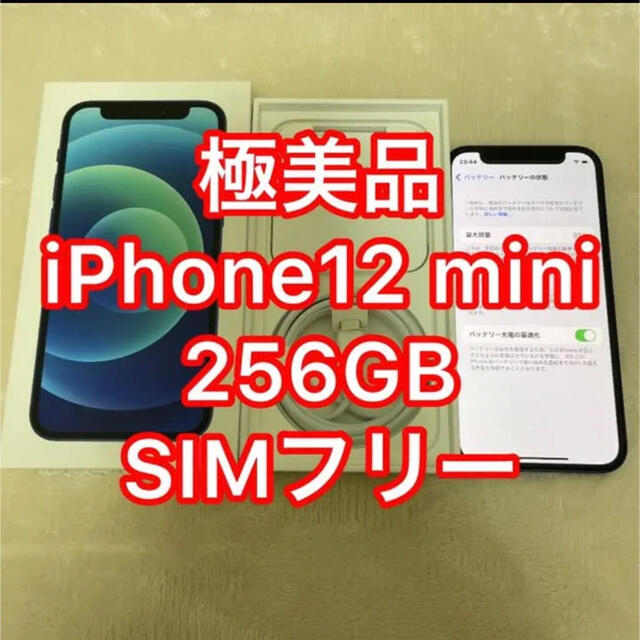 即日発送 iPhone ブルー SIMフリー 256GB iPhone12mini