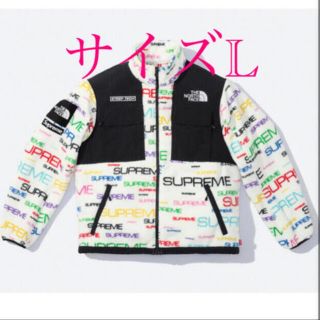 シュプリーム(Supreme)のThe North FaceSteep Tech Fleece Jacket(その他)