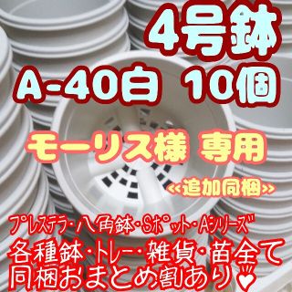 プラ鉢4号鉢【A-40】10個 スリット鉢 丸 プレステラ 多肉植物(プランター)