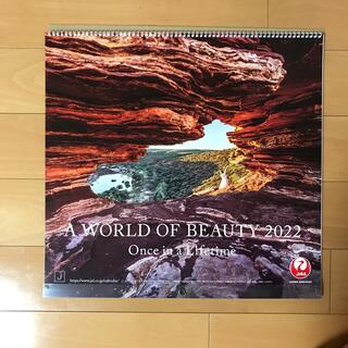 ジャル(ニホンコウクウ)(JAL(日本航空))のJALカレンダー　2022年　壁掛け　A World of Beauty JGC(カレンダー/スケジュール)