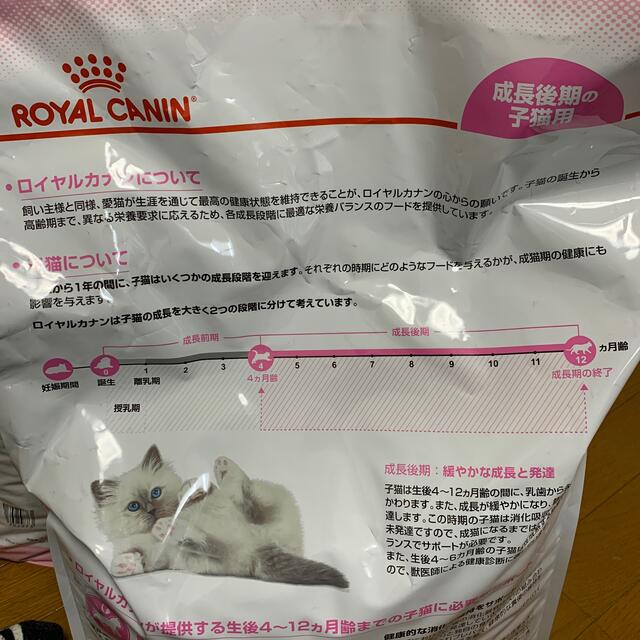 ROYAL CANIN(ロイヤルカナン)のロイヤルカナン　成長後期の子猫用　10kg  その他のペット用品(ペットフード)の商品写真