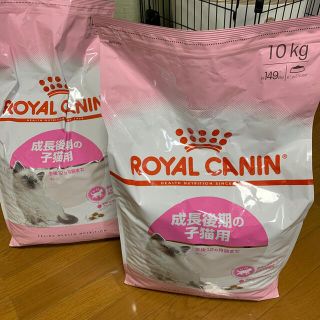 ロイヤルカナン(ROYAL CANIN)のロイヤルカナン　成長後期の子猫用　10kg (ペットフード)