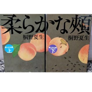 柔らかな頬 上下巻セット(文学/小説)