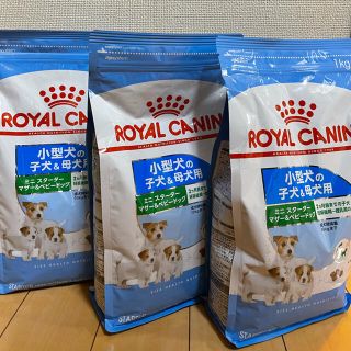 ロイヤルカナン(ROYAL CANIN)のロイヤルカナン　子犬　母犬(ペットフード)