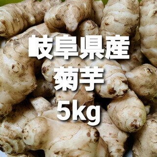 01 岐阜県産 菊芋 5kg 土付き 堀り立て発送！無農薬(野菜)