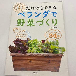 だれでもできるベランダで野菜づくり 新版(趣味/スポーツ/実用)