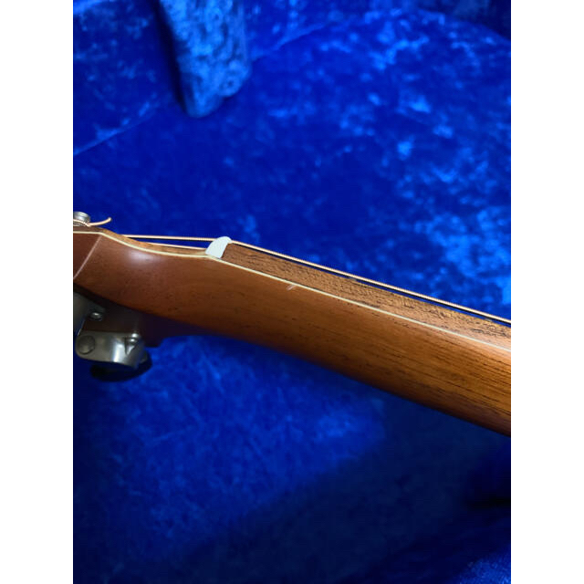Furch rainbow GC-SR 【定価46万円】 アコースティックギター www