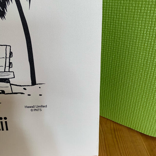 MONI モニ ホノルル 日焼けスヌーピー 壁掛け キャンパスアート 4