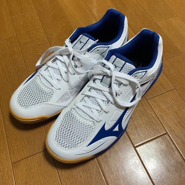 MIZUNO(ミズノ)のウエーブカイザーブルグ6　ミズノ　卓球シューズ スポーツ/アウトドアのスポーツ/アウトドア その他(卓球)の商品写真