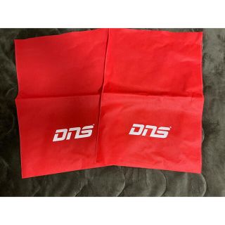 ディーエヌエス(DNS)のDNS プレゼント袋　非売品(その他)