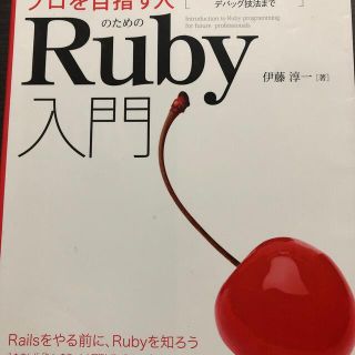 プロを目指す人のためのＲｕｂｙ入門 言語仕様からテスト駆動開発・デバッグ技法まで(コンピュータ/IT)