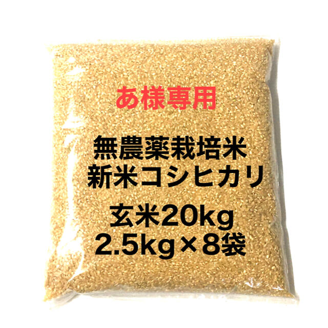 女性に人気! まさきん様専用 新米農薬無し純こしひかり60㎏玄米