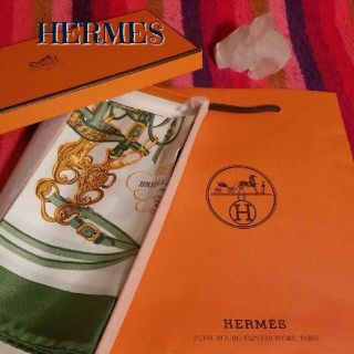 Hermes - 未使用 レア 稀少 エルメス スカーフ 45 シルク カレ45の ...
