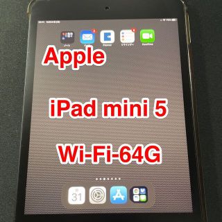 アップル(Apple)のiPadMini5(その他)