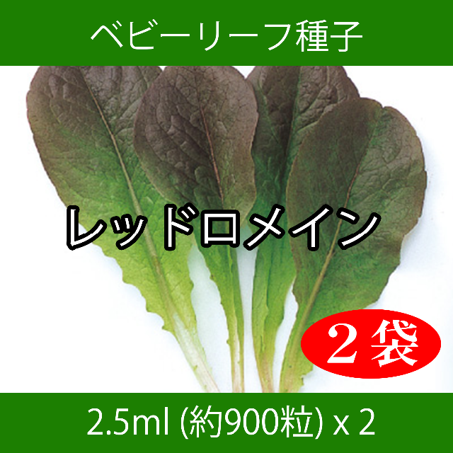 ベビーリーフ種子 B-06 レッドロメイン 2.5ml 約900粒 x 2袋 食品/飲料/酒の食品(野菜)の商品写真