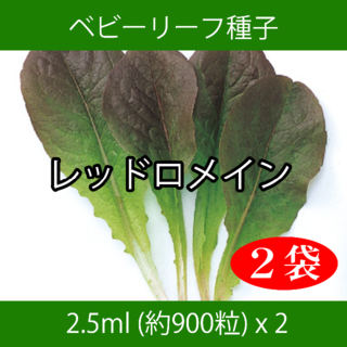 ベビーリーフ種子 B-06 レッドロメイン 2.5ml 約900粒 x 2袋(野菜)