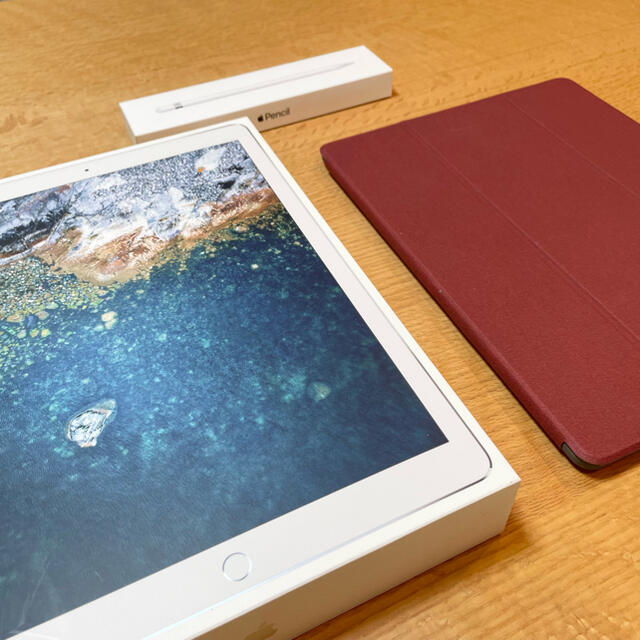 iPad Pro 10.5 256GB 三点セット pa-bekasi.go.id