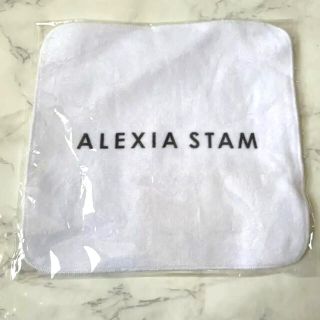 アリシアスタン(ALEXIA STAM)のアリシアスタン タオルハンカチ(水着)