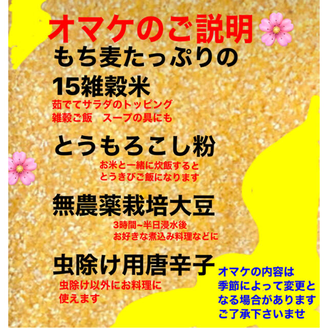 もち米　新米　宮城産　みやこがねもち10kg 沖縄離島除き送料無料！精米無料！