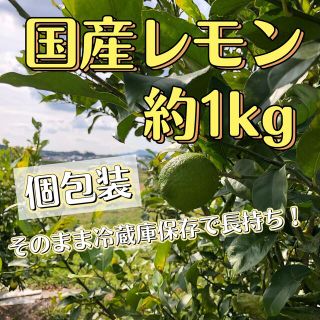 国産レモン　青レモン　約1kg  9〜10個　送料込(フルーツ)