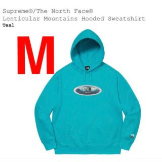 シュプリーム(Supreme)のsupreme the north face hooded teal(パーカー)