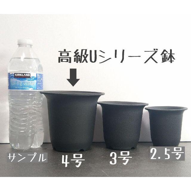 【Ｕ40】◎10個◎ 高級 プラ鉢 4号 U-40 硬質 丸鉢 黒 ハンドメイドのフラワー/ガーデン(プランター)の商品写真